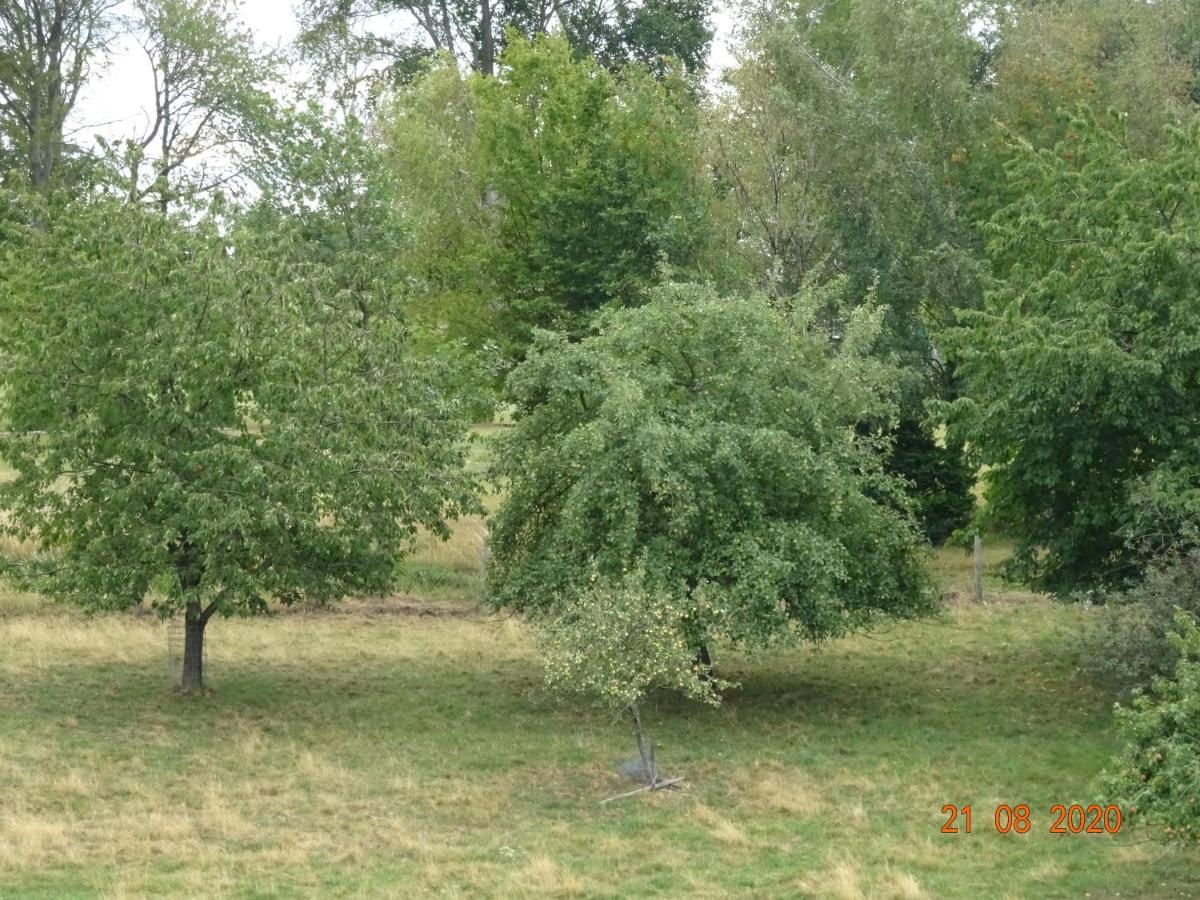 Ferienwohnung Lohrer Nideggen Luaran gambar